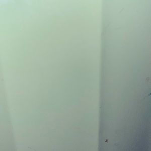 Meet your Posher, Trevor